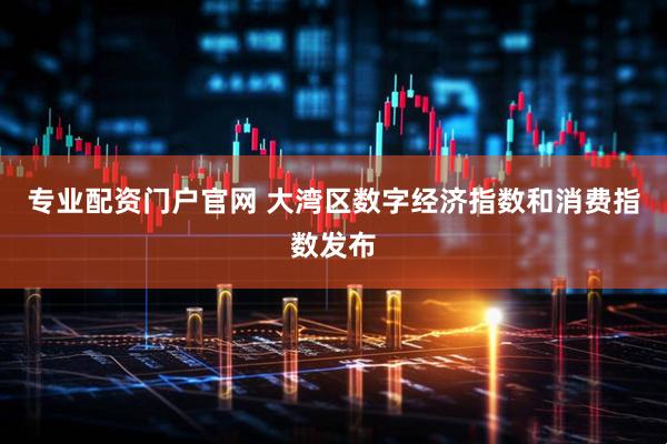 专业配资门户官网 大湾区数字经济指数和消费指数发布